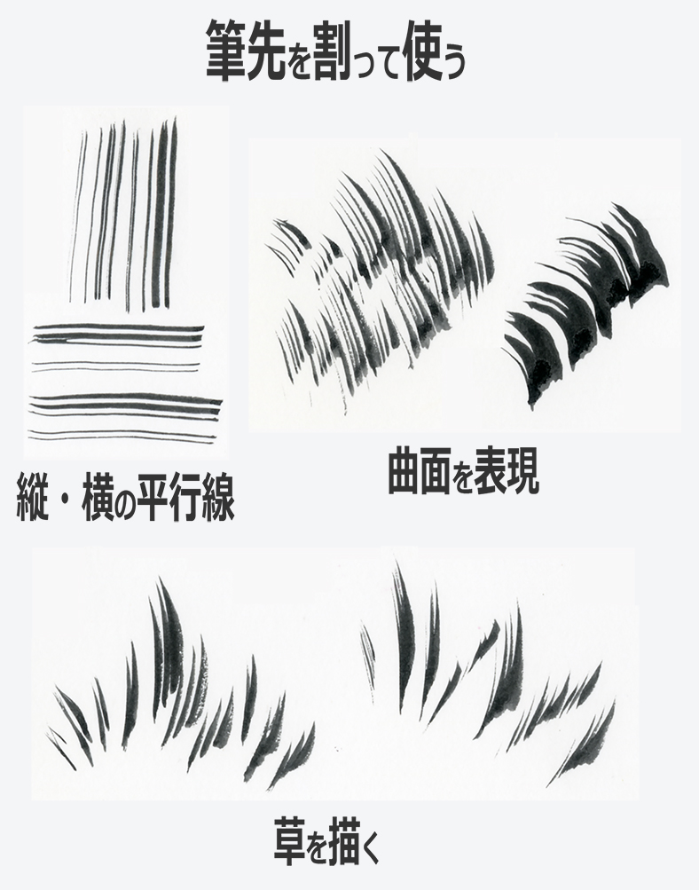 穂先を分けた削用筆で描いた複数の平行線と草のタッチ