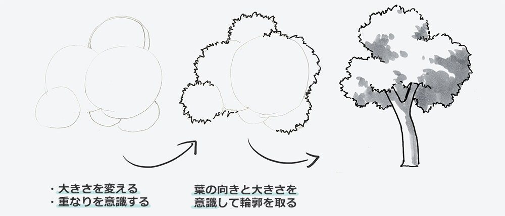 木の失敗の歴史②枝の太さが変