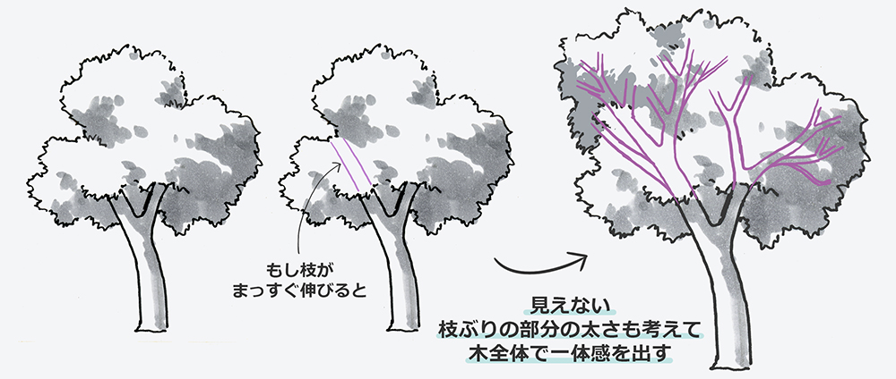 木の失敗の歴史③見えない枝の太さも意識する