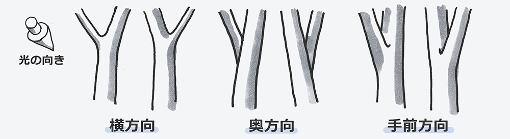 3方向(横・奥・手前)の枝の図