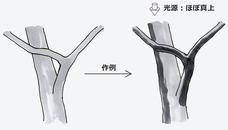 枝の前後関係の明暗表現