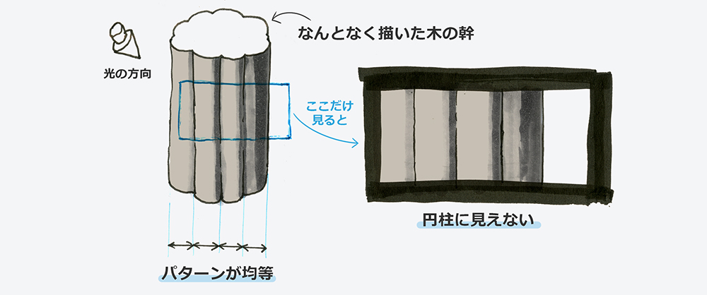 木の幹が丸く見えない原因