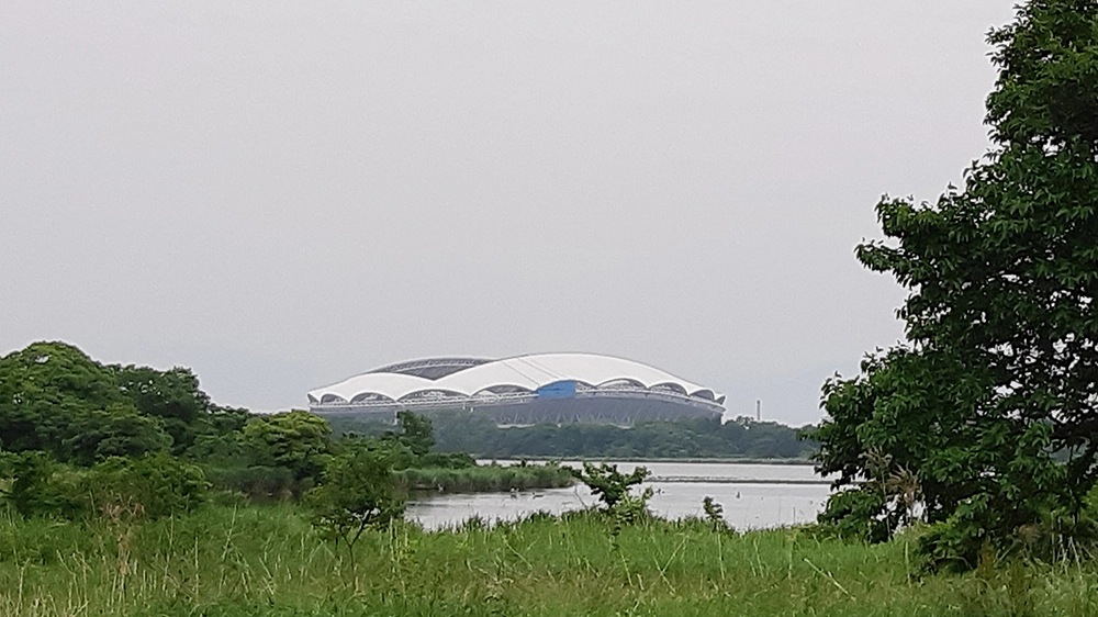 草地と水辺の奥に白いスタジアムが見える風景写真